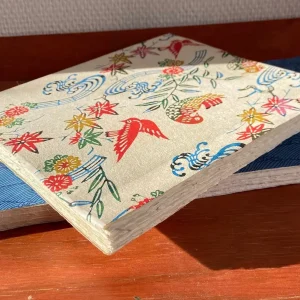 Cuadernos